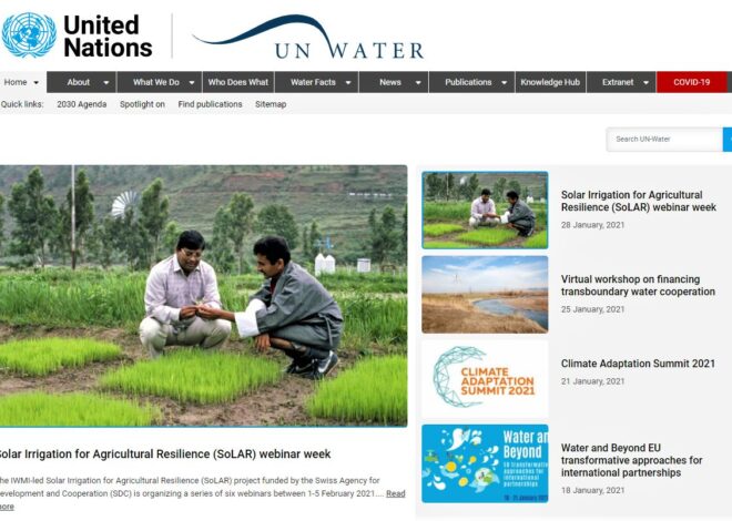 UN-Water: Global Partners in Water and Sanitation