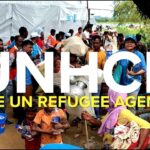 United Nations High Commission on Refugees – UNHCR