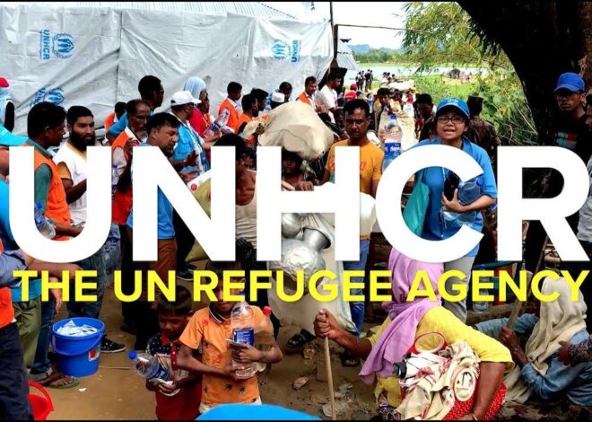 United Nations High Commission on Refugees – UNHCR