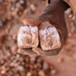 COP30 Bulletin Day 5: COP30 could greenlight work on a fossil fuel transition roadmap