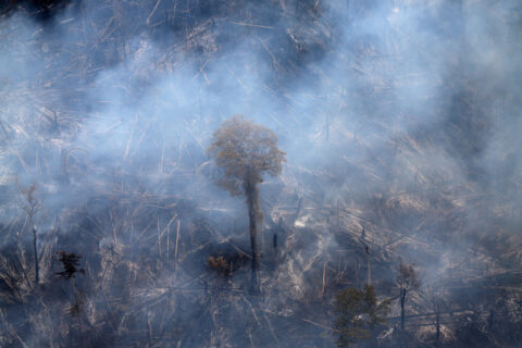 An aerial view shows a tract of Amazon jungle burning as it is cleared by farmers in Itaituba, Para, Brazil, September 26, 2019