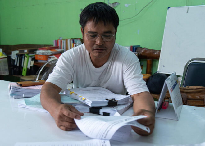 Nine of our best climate stories from 2025