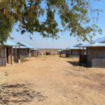 Damisoa: we left our drought-stricken land and found new struggles