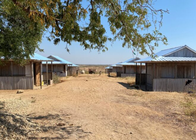 Damisoa: we left our drought-stricken land and found new struggles