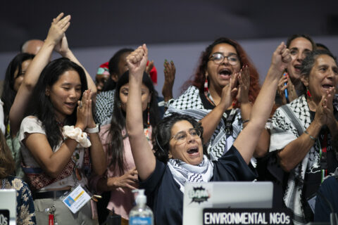 Anabella Rosemberg of CAN International delivers the final intervention by environmental NGOs at the closing COP30 plenary