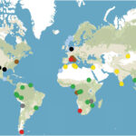 Q&A: “False” climate solutions help keep fossil fuel firms in business