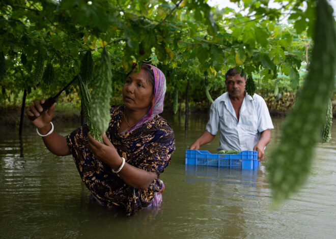 Women must be a starting point, not an afterthought, for adaptation