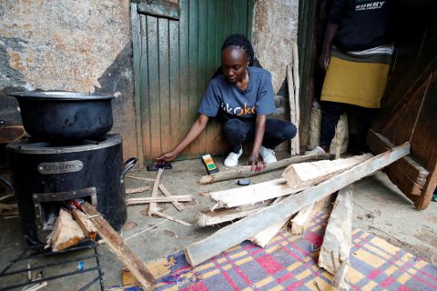 Burn company enumerator Teresia Wanjiru checks moisture on firewood in Kachoroba village of Kiambu county
