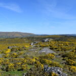 Rush for critical minerals tests Europe’s resolve to protect nature