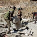 New summit in Colombia seeks to revive stalled UN talks on fossil fuel transition