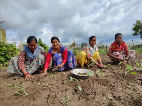Women farmers plant cabbages in Nepal