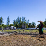 Island nations fight to save cultural heritage from climate change