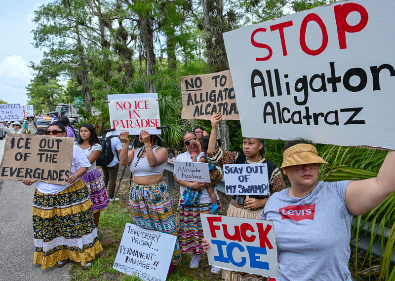 A row of protesters against a backdrop of palm trees. Their signs say 'Stop Alligator Alcatraz', 'No ICE in paradise' 'Stay out of my swamp'. 