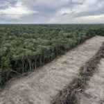 GEF raises $3.9bn ahead of funding deadline, $1bn below previous budget