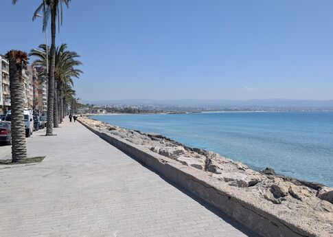 Palm-tree lined seafront in Tyre beside blue sea