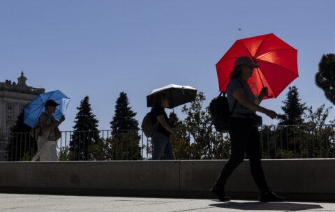 COP31 must persuade countries to make fossil fuel transition plans 