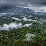 Nature cannot be ignored by Europe’s next big budget