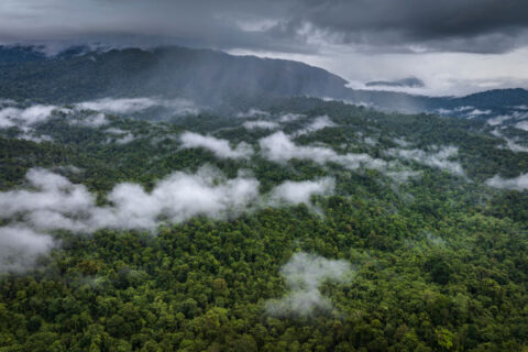 Nature cannot be ignored by Europe’s next big budget