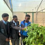 Young South Africans take up sustainable agriculture for food security
