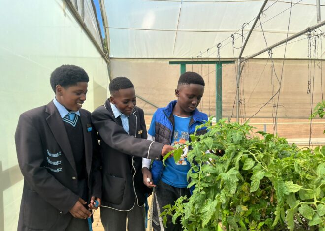 Young South Africans take up sustainable agriculture for food security