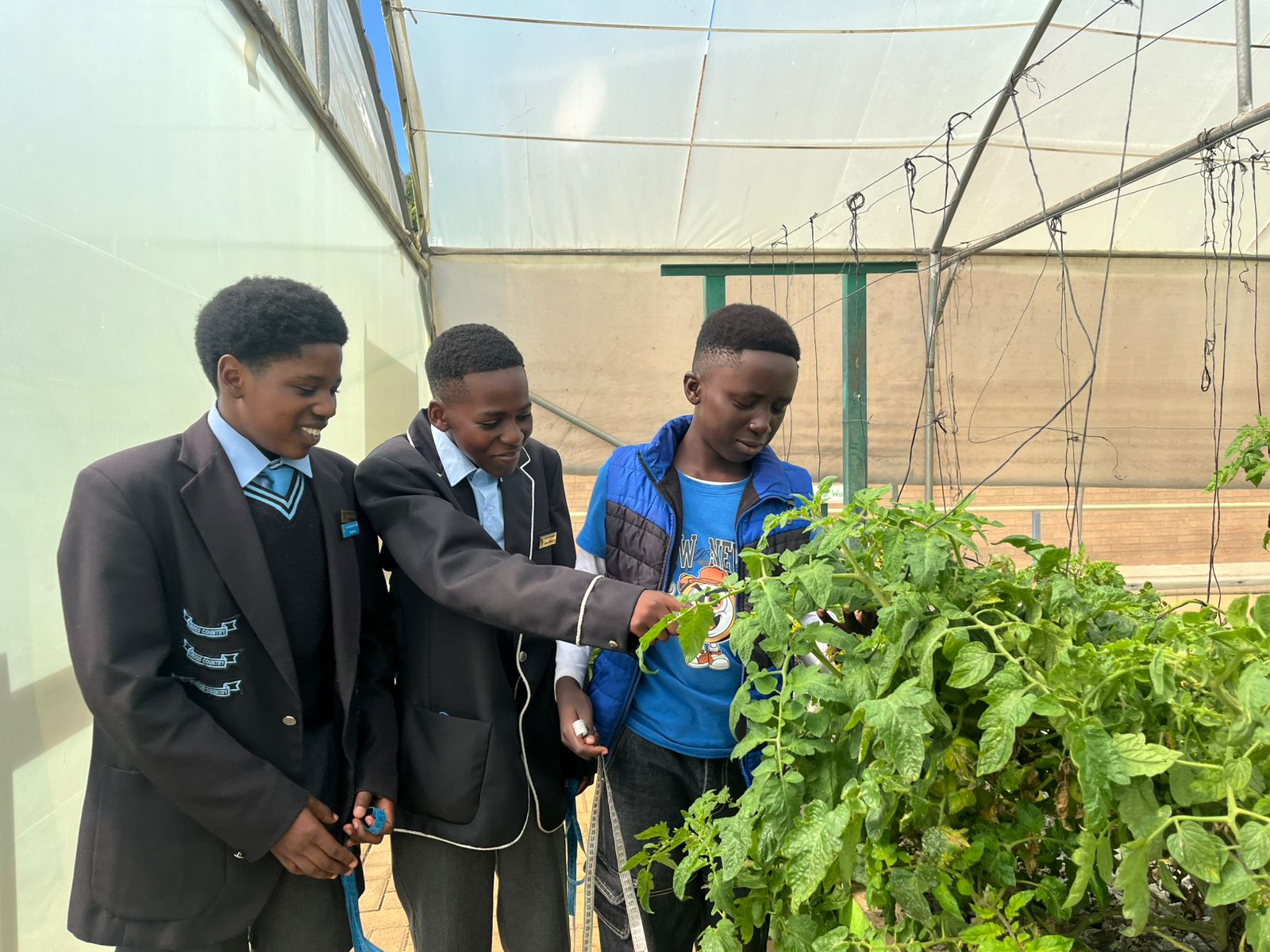 Young South Africans take up sustainable agriculture for food security