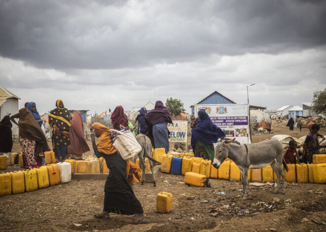 Climate adaptation helps African nations tackle rising conflict over resources