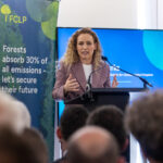 Tropical forest protection fund at risk after UK stalls on pledge