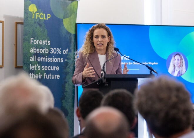 Tropical forest protection fund at risk after UK stalls on pledge