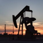 Campaigners oppose Dangote’s planned Kenya refinery over climate and ecological risks