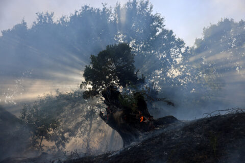 A strong El Niño spells more climate pain for the Philippines