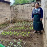 In Guatemala, Indigenous women build climate resilience with old and new farming methods