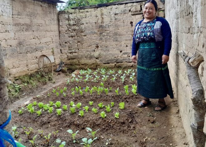 In Guatemala, Indigenous women build climate resilience with old and new farming methods