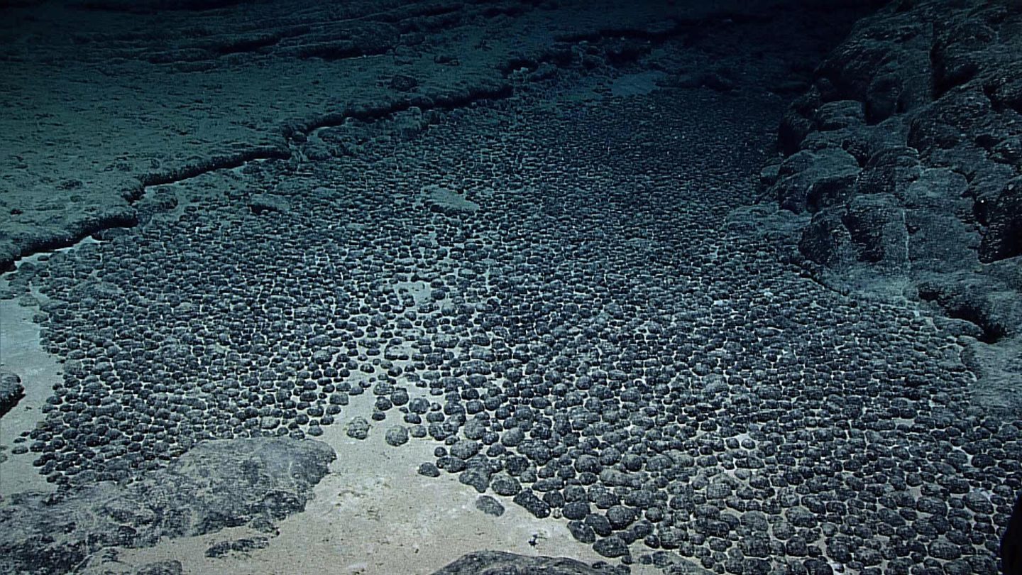 A field of manganese nodules in the ocean floor. (Photo: photo by NOAA Office of Ocean Exploration and Research)